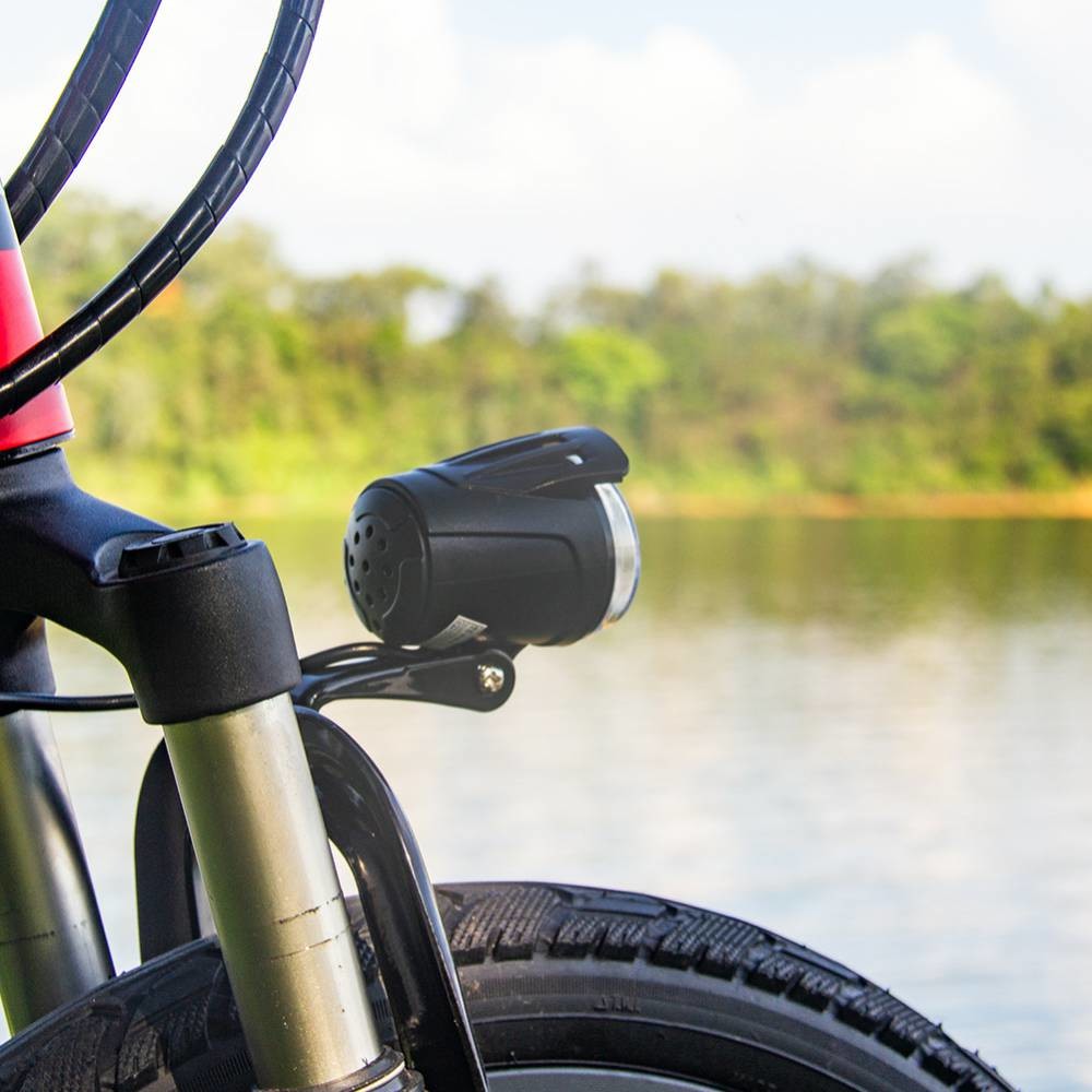 Portable Electric Bike Full Suspension Folding Ebike 8v 9.6Ah 35kmh Richbit Top-730