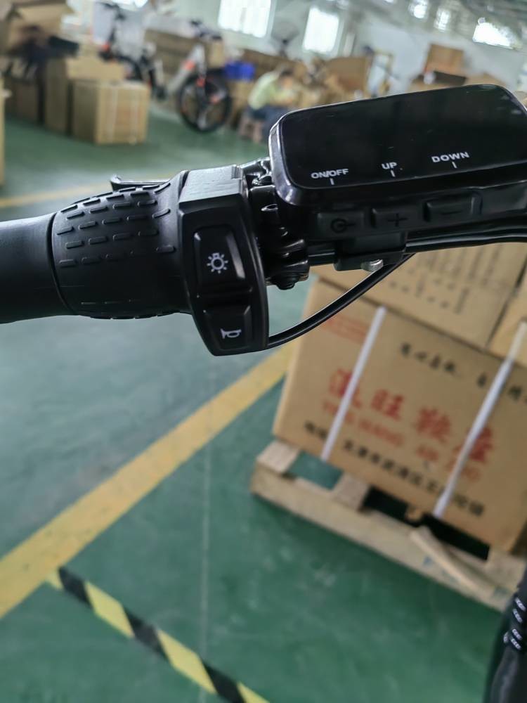 29 Inch Electric City Bicycle Pedal Assist 25km H CYSUM X3