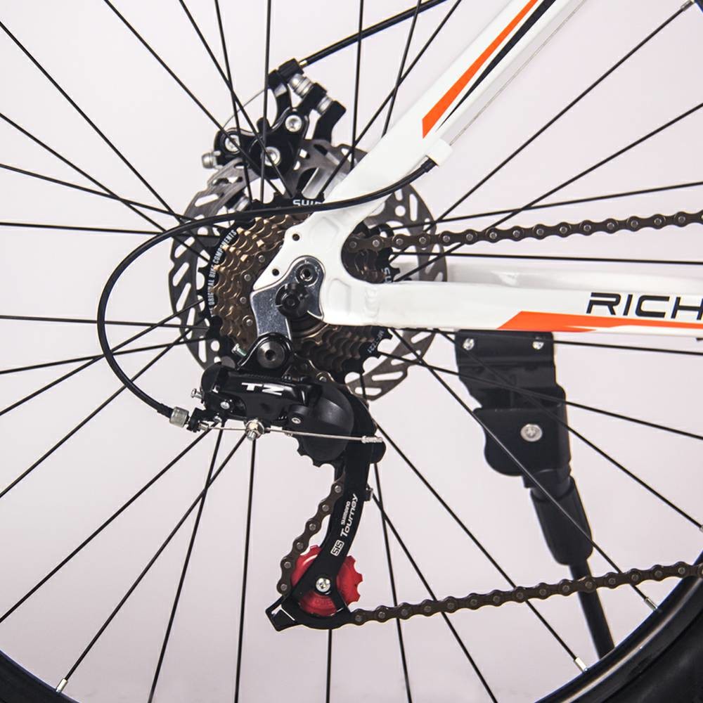 26 Inch Electric Bicycle Lightweight Ebike Mtb Rear Drive 36v 350w 10Ah RICH BIT 006