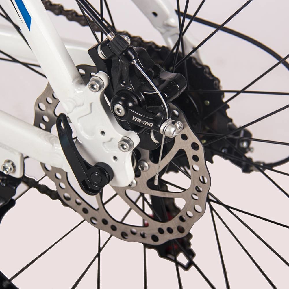 26 Inch Electric Bicycle Lightweight Ebike Mtb Rear Drive 36v 350w 10Ah RICH BIT 006