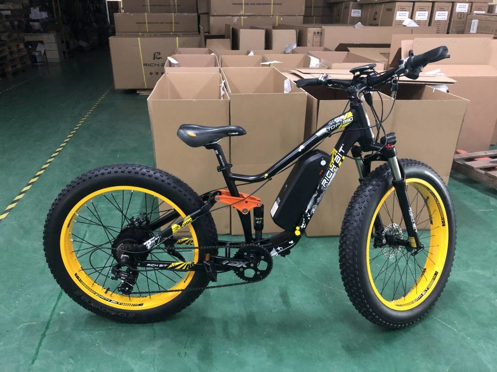 1000 Watt Mountain Full Suspension Ebike 48V Lithium Ion Battery RICH BIT 890