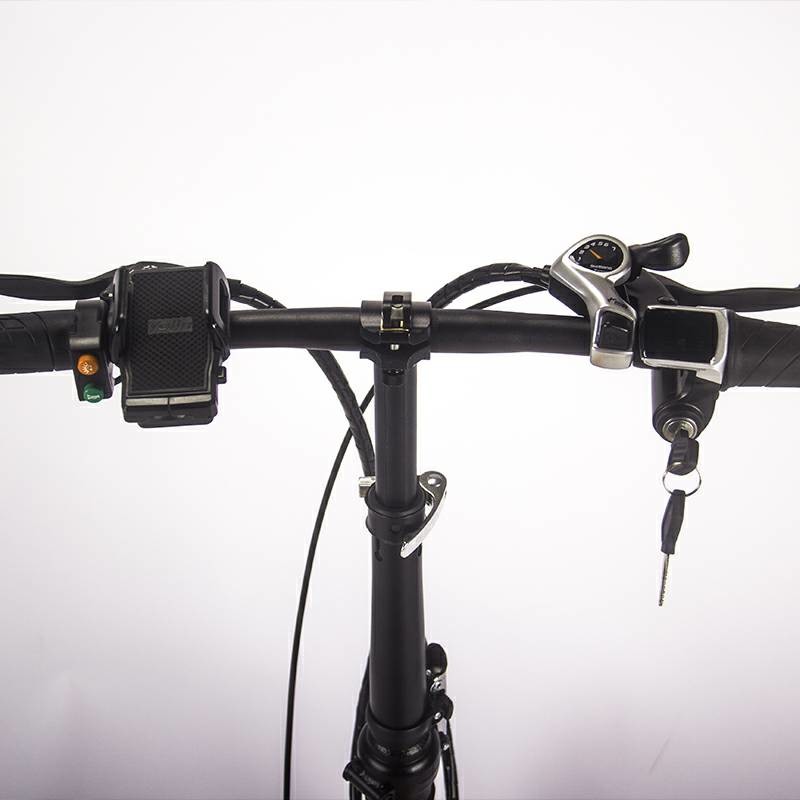 Rich Bit Top 700 Folding Sport Electric Bike 48v 250w 8ah 20inch
