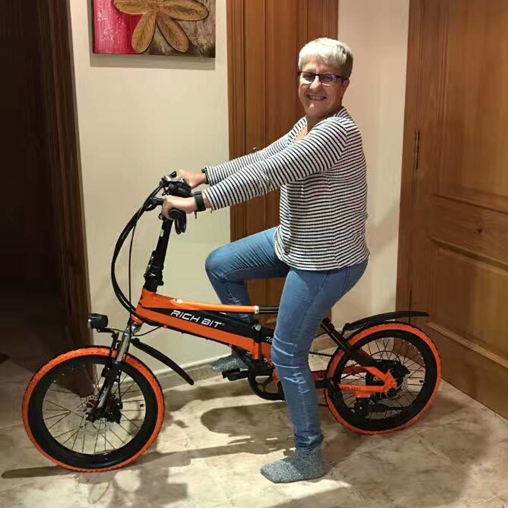 Lightweight Foldable Electric Bike For Seniors Adults 48v 250w 20