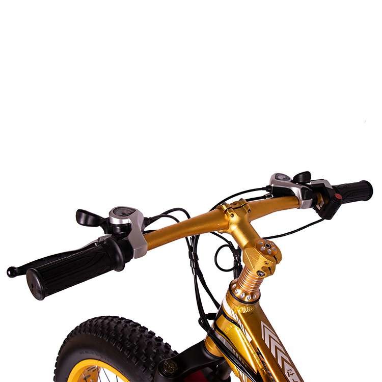 High Speed Long Range Electric Bikes Touring Fat Rear Rack 17Ah 20Ah 1000w