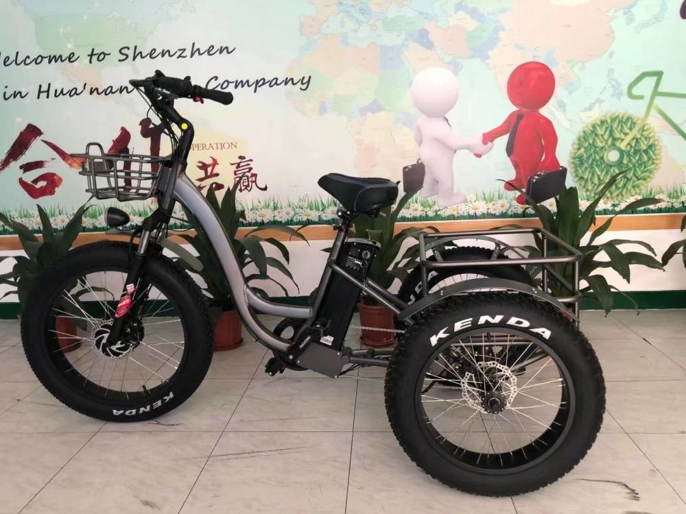 3 Wheel Tricycle Cargo Electric Bike Rear Engine Fat Tire Cargo Trike 500w 48v  20