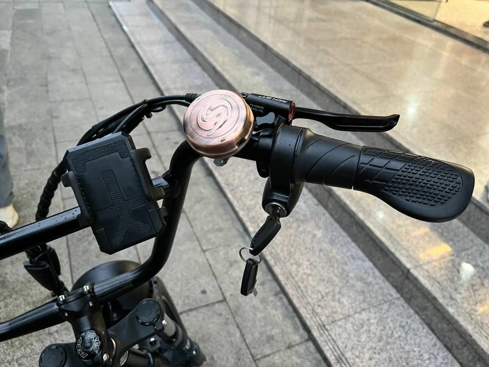 Richbit H200 Fat Electric Scooter Cycle 1000w 48v 16ah 20x3.0 Inch
