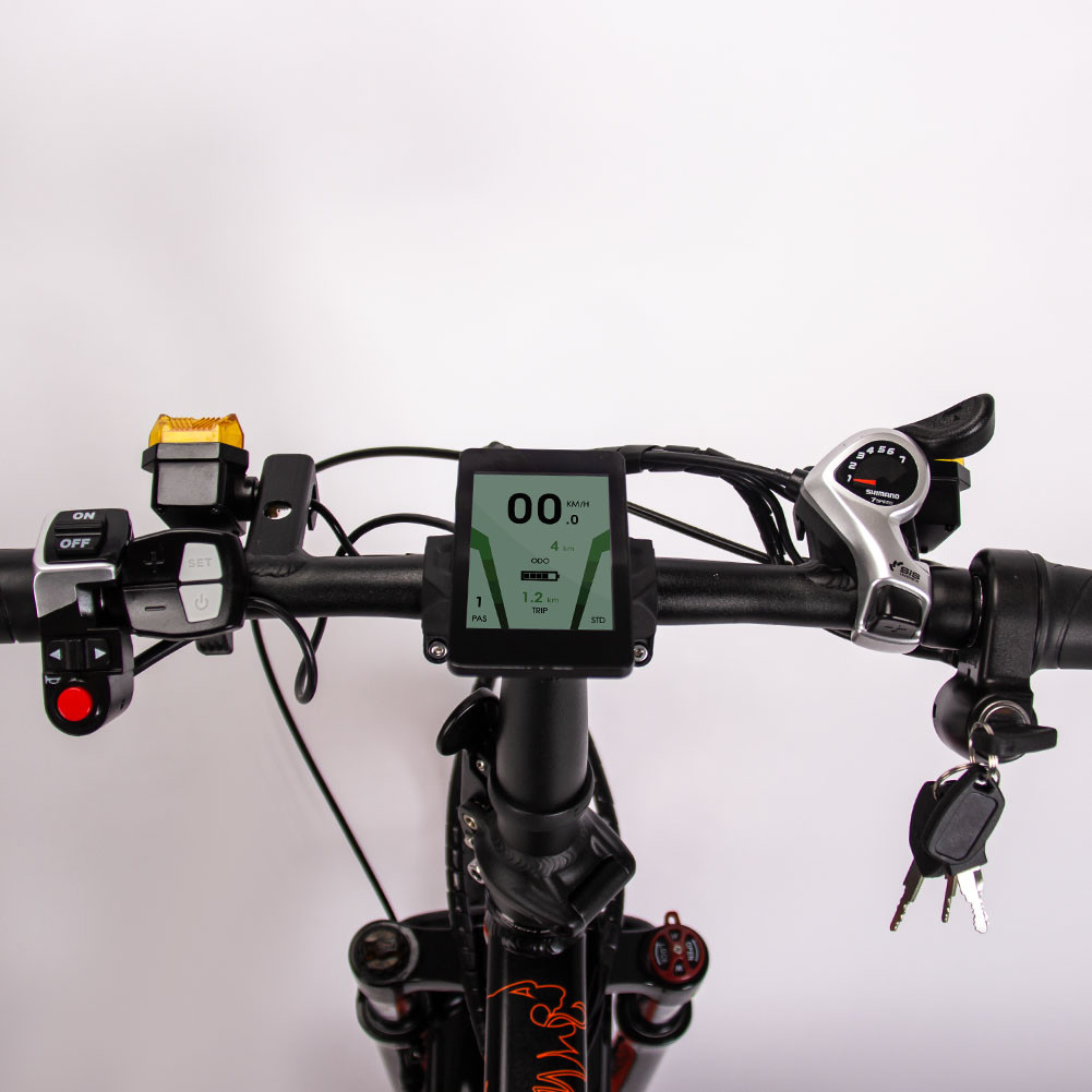 500W 20 Inch Fat Tire Ebike Foldable For Adults RICH BIT TOP-016